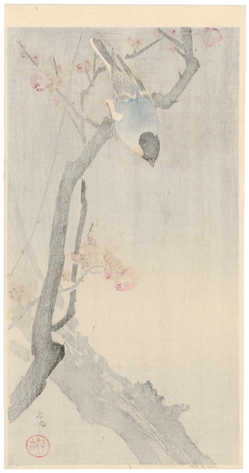 'Bullfinch on a Flowering Plum Tree' — Japanese kacho-e, c. 1900 - Print by Ohara Koson