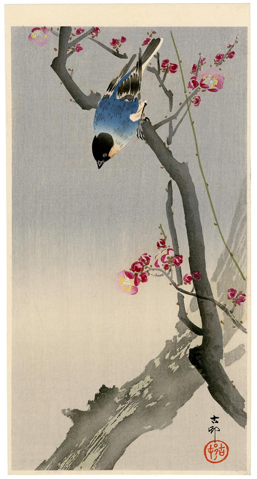 Ohara Koson Animal Print - 'Bullfinch on a Flowering Plum Tree' — Japanese kacho-e, c. 1900