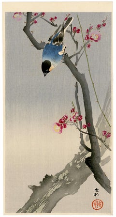 Bouvreuil sur un prunier en fleur - kacho-e japonais, c. 1900