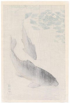 'Carp and Water Chestnut' — Showa lifetime impression