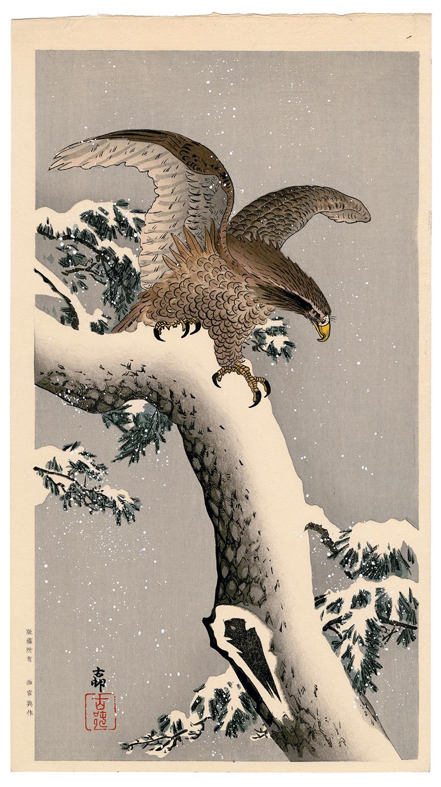 Ohara Koson Animal Print – Eagle auf Schnee bedeckter Kiefer – Showa Holzschnitt