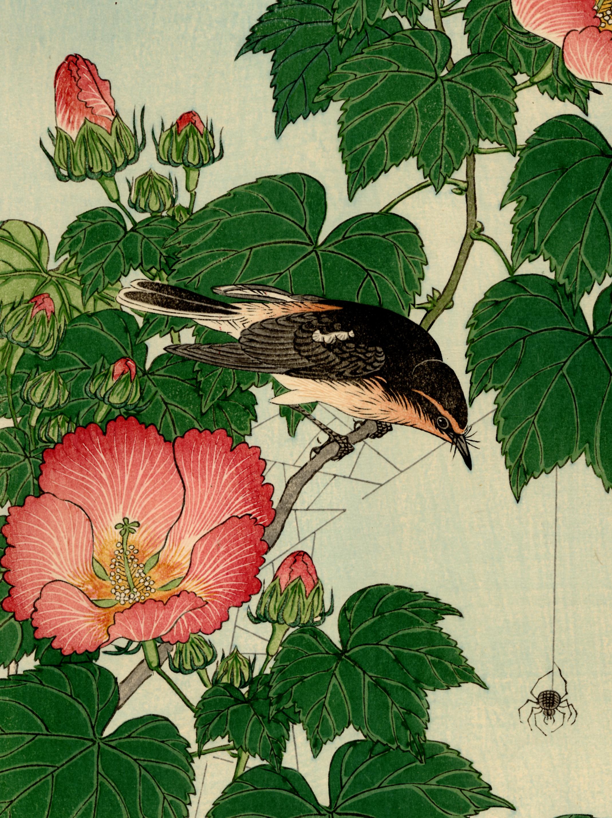 Flycatcher and Rose Mallow - Print by Ohara Koson
