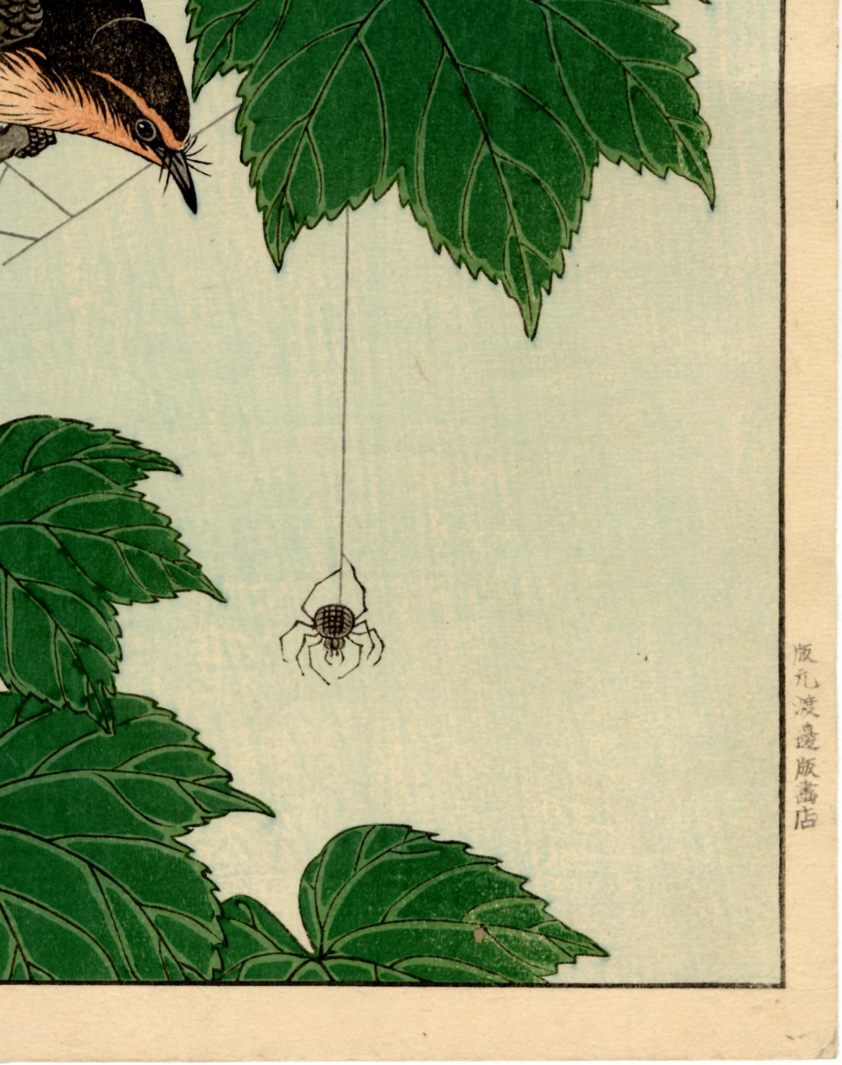 An orange-and black flycatcher has perched on a rose mallow branch. The bird watches a spider descending on its filament with great interest. With the Watanabe seal that was in use during the early 1930s, right margin. Published by Watanabe