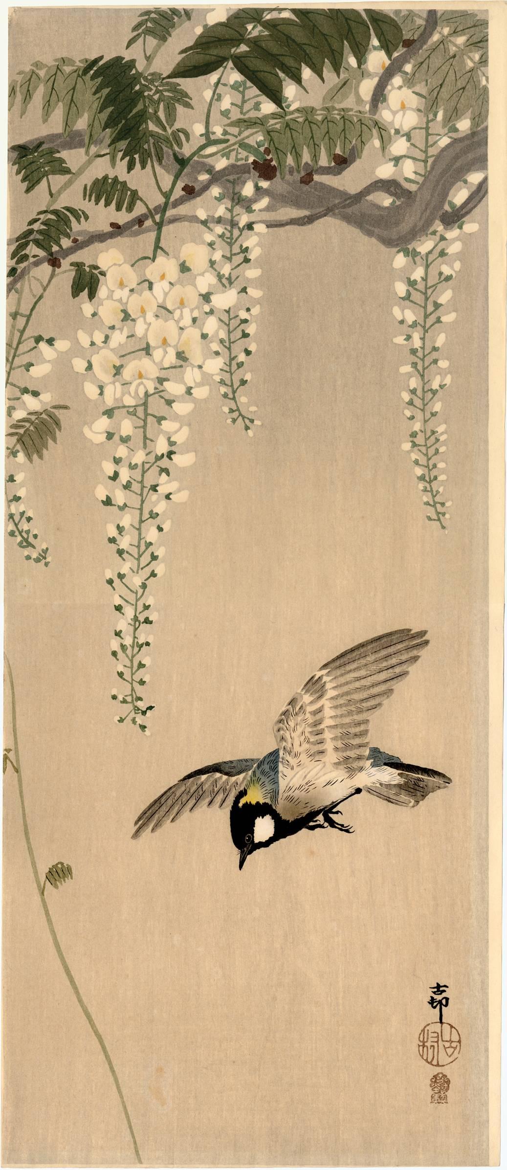 Ohara Koson Animal Print - Great Tit in Flight Beneath Wisteria Blossoms