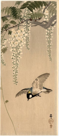 Antique Great Tit in Flight Beneath Wisteria Blossoms