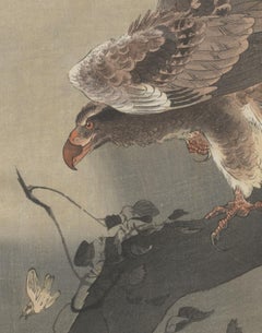 Ohara Koson, Eagle with Outspread Wings, Kacho-ga, Japanese Woodblock Print