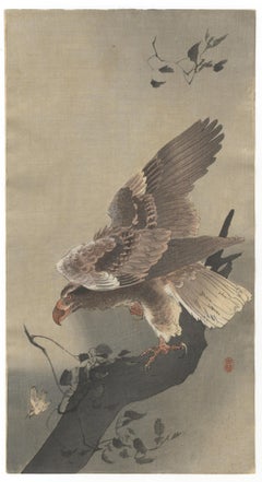 Antique Ohara Koson, Eagle with Outspread Wings, Kacho-ga, Japanese Woodblock Print