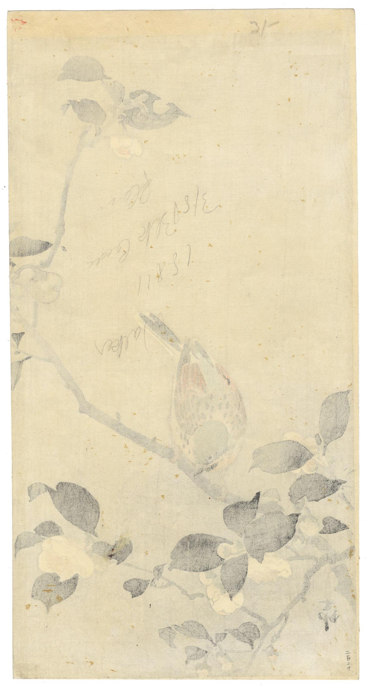 Ohara Koson, Original Japanese Woodblock Print, Camelia, Bird, Ukiyo-e, Spring 2