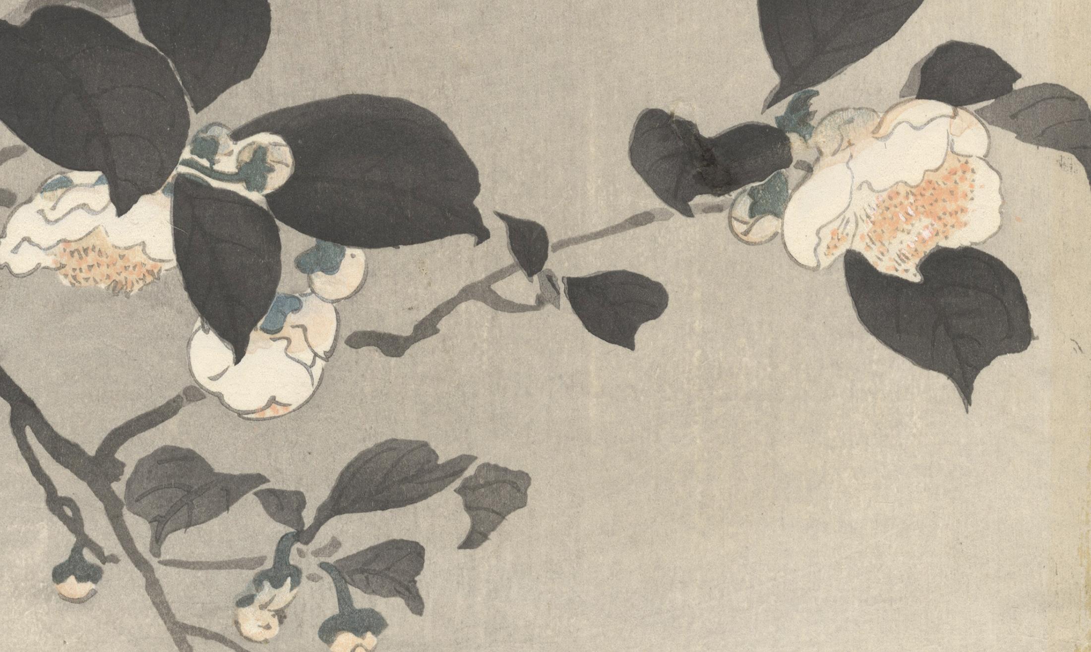 Ohara Koson, Original Japanese Woodblock Print, Camelia, Bird, Ukiyo-e, Spring 1