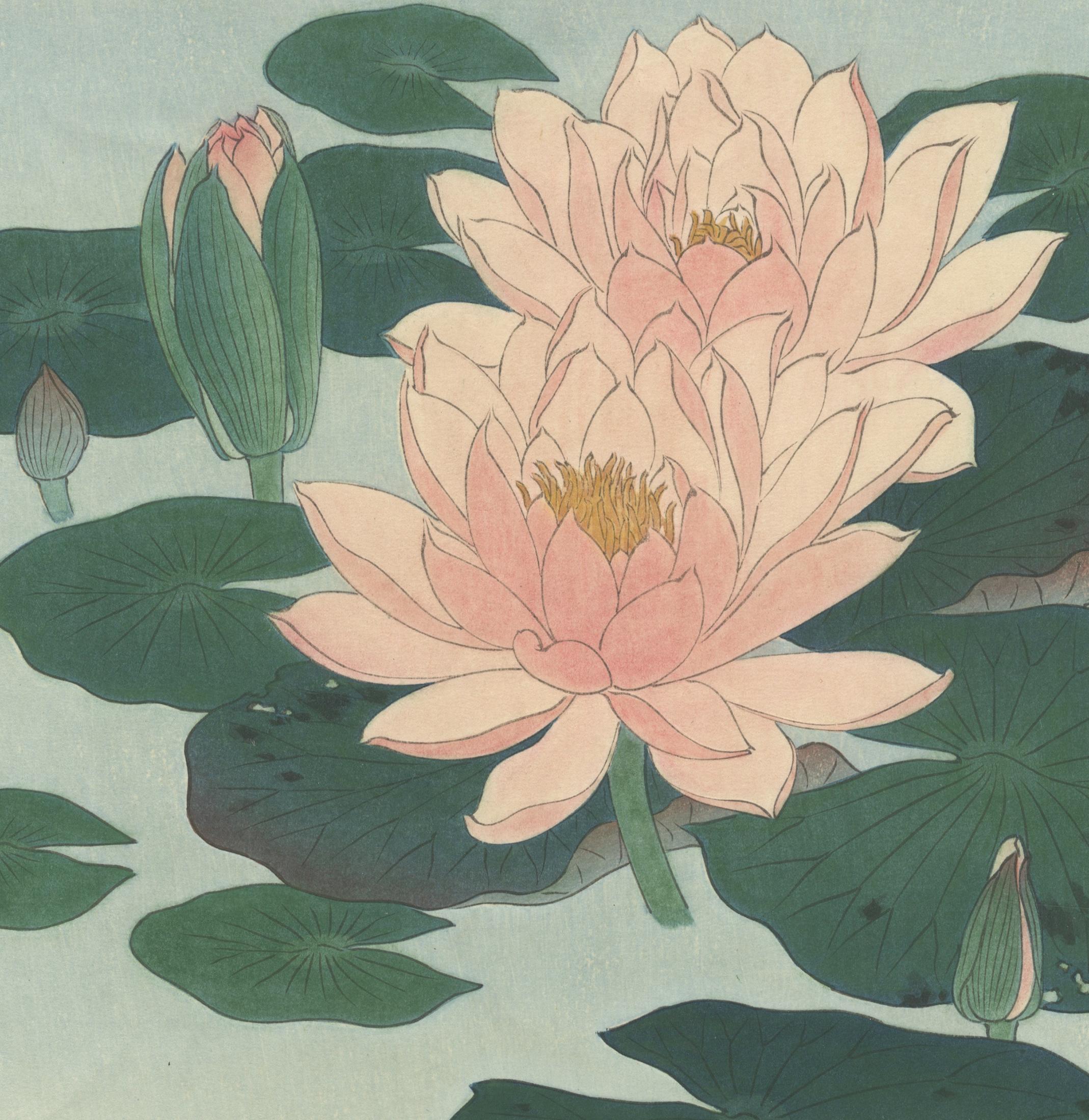 Artist: Koson Ohara (1877-1945) [signed Hōson]
Title: Flowering Water Lilies 
Publisher: Kawaguchi Bijutsusha 
Date: 1930
Dimensions: 26 x 37.2 cm

Koson's water lilies in various stages of bloom shows the artist's experimentation with standalone