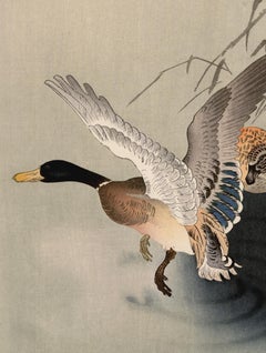 'Pair of Mallard Ducks' — Japanese Woodblock kachō-ga