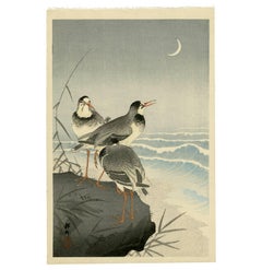 Plovers by the Seaside