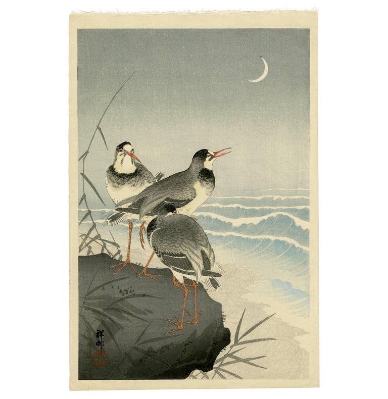 Braile plover masters thesis