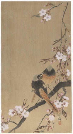 Sakura Cherry Blossom, Ohara Koson, Bird & Flower, Japanese Woodblock Print