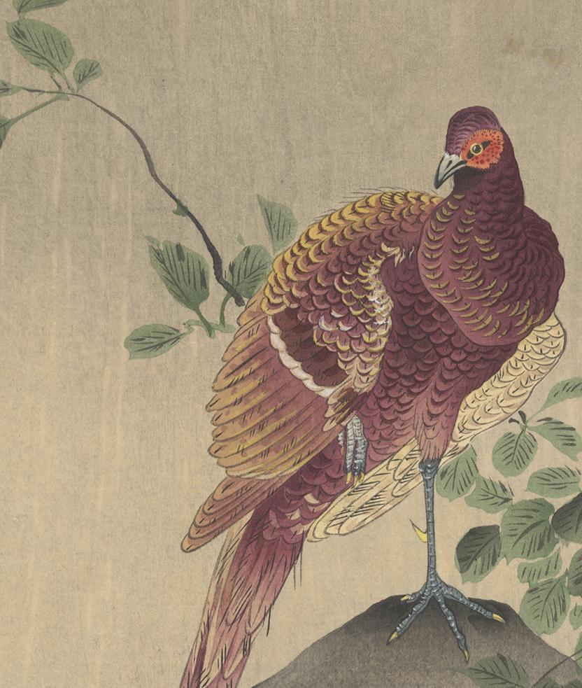 Shin-Hanga, Ohara Koson, Vogel und Blume, japanischer Holzschnitt 2