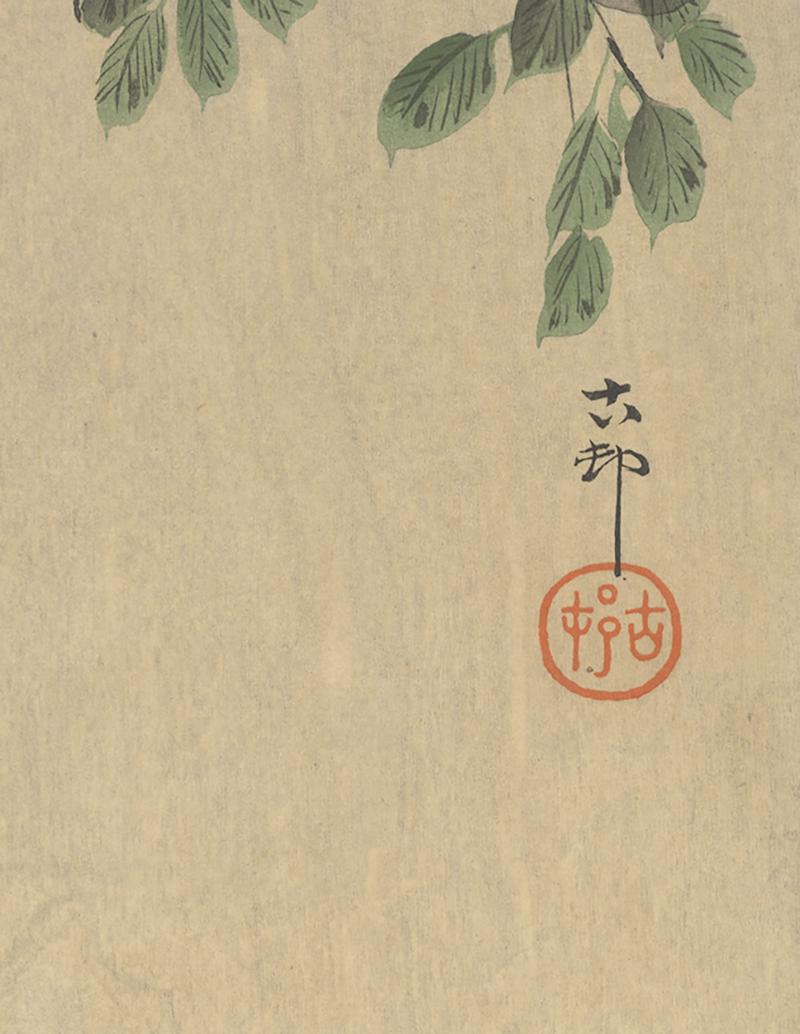 Shin-Hanga, Ohara Koson, Vogel und Blume, japanischer Holzschnitt 3