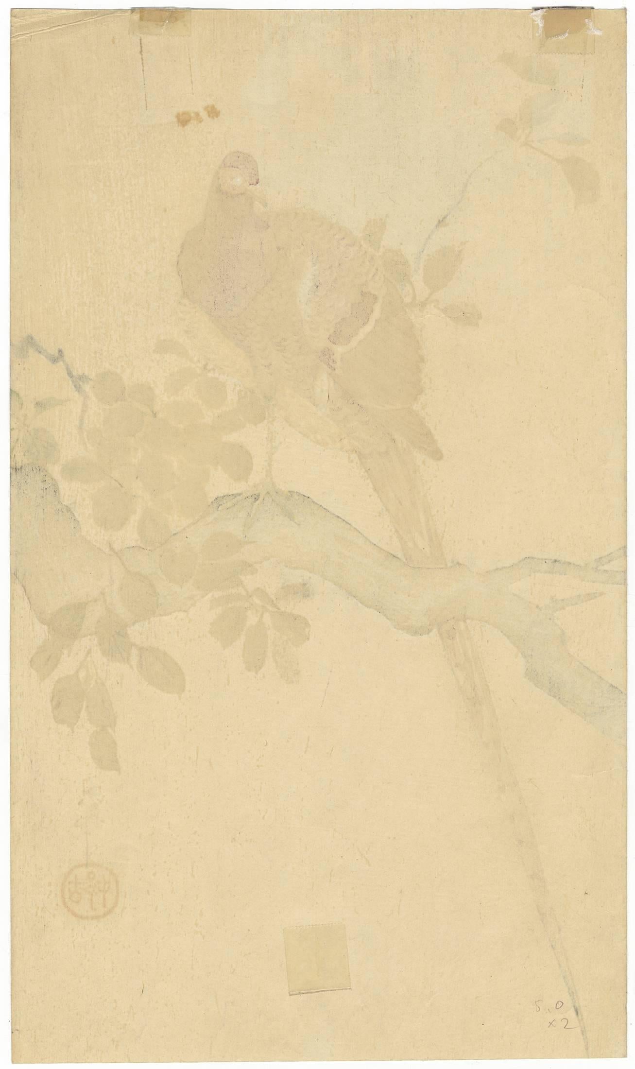 Shin-Hanga, Ohara Koson, Vogel und Blume, japanischer Holzschnitt 1