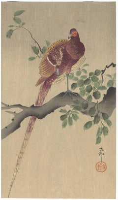 Antique Shin-Hanga, Ohara Koson, Bird & Flower, Japanese Woodblock Print