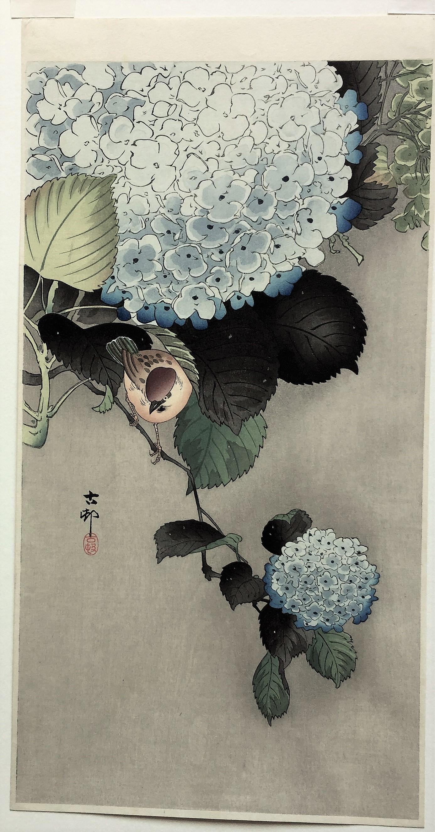 Sparrow on Hortensia (Hydrangea) - Print by Ohara Koson