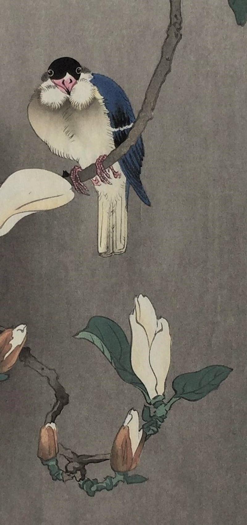 Tit on the Stalk of a Flowering Magnolia - Showa Print by Ohara Koson