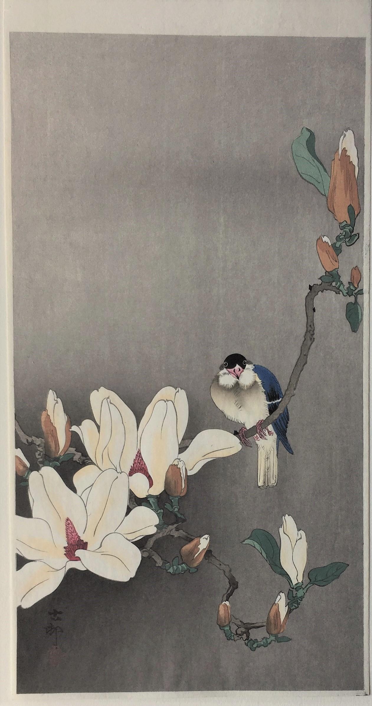 Tit on the Stalk of a Flowering Magnolia - Black Animal Print by Ohara Koson