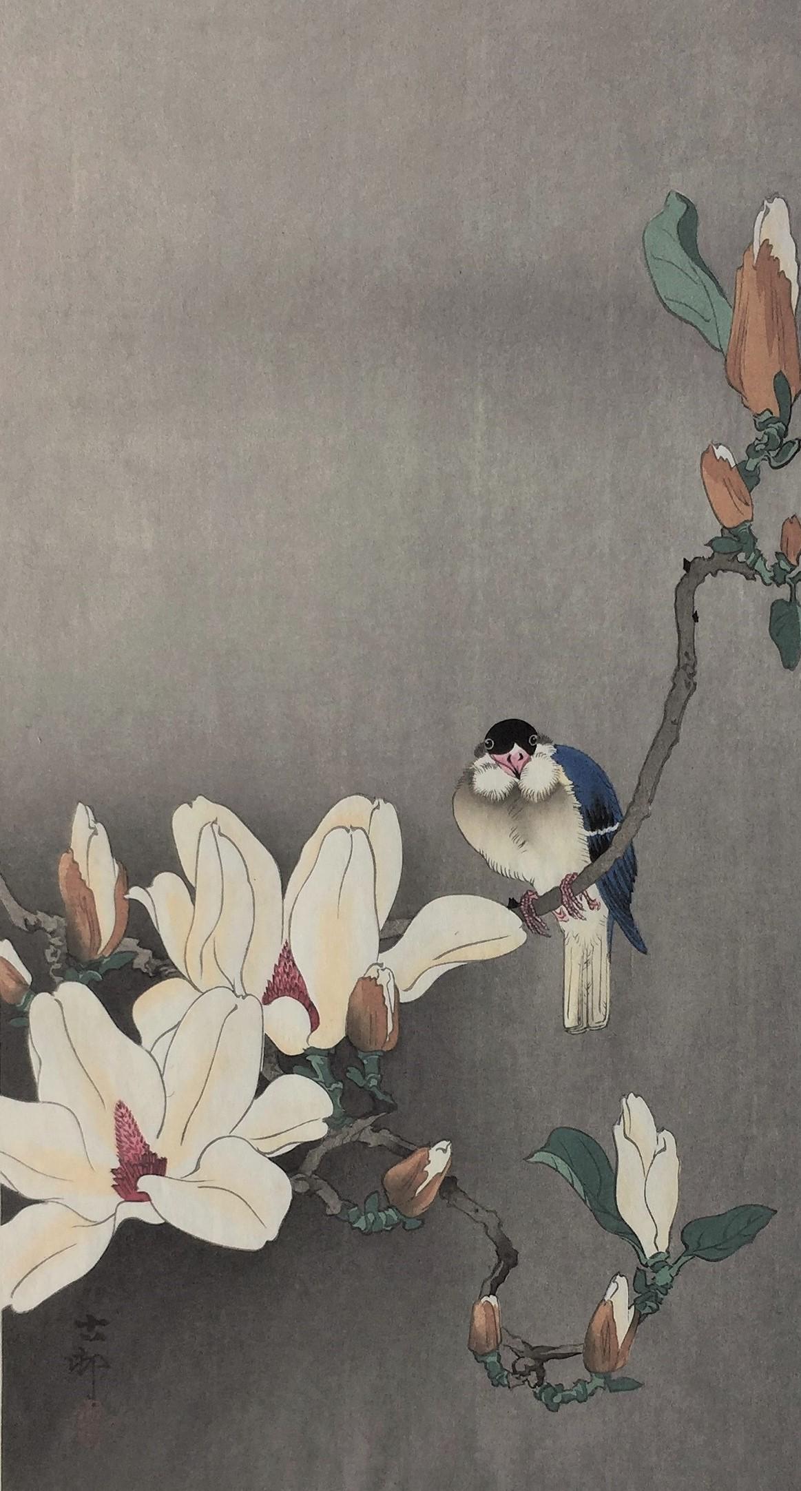 Tit on the Stalk of a Flowering Magnolia. c. 1921.   Otanzaku: 13 3/16 6 x 7 3/13 (sheet 14 7/16 x 7 5/16 ). Publisher: Daikoku-ya (Tokyo publisher, 1818-1923).  Illustrated: Crows, Cranes & Camellias K29.11, page 183.  Signed and sealed Koson.  A