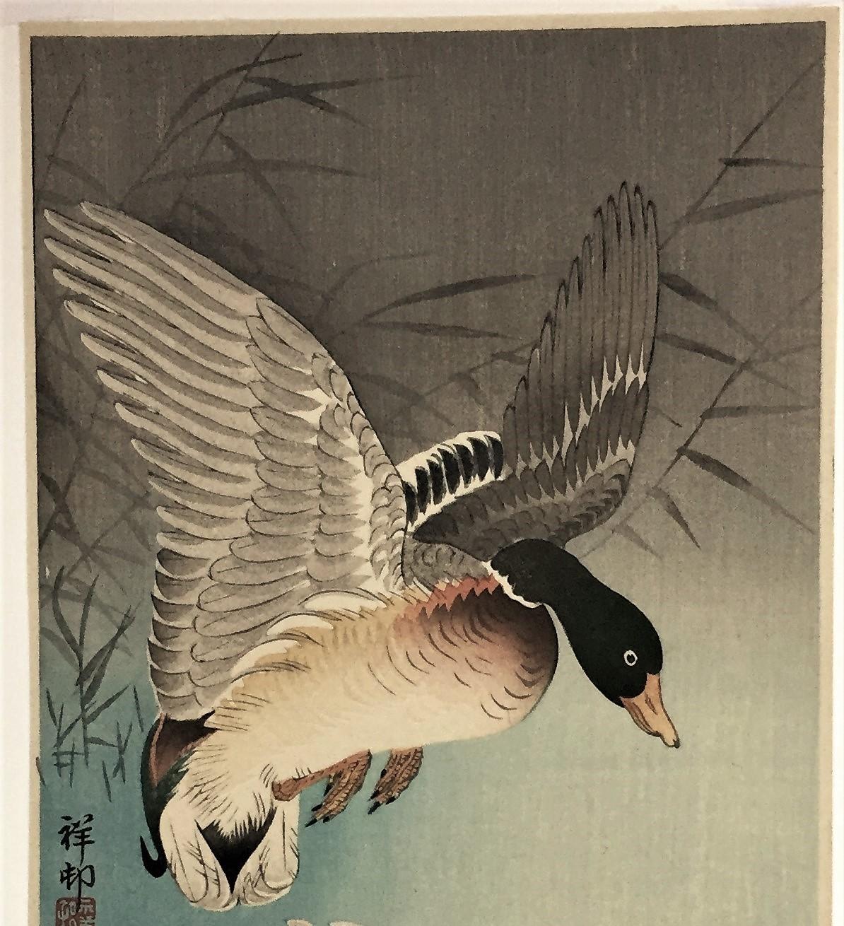 Two Wild Ducks in Flight Above Reeds, a Full Moon Behind. - Print by Ohara Koson