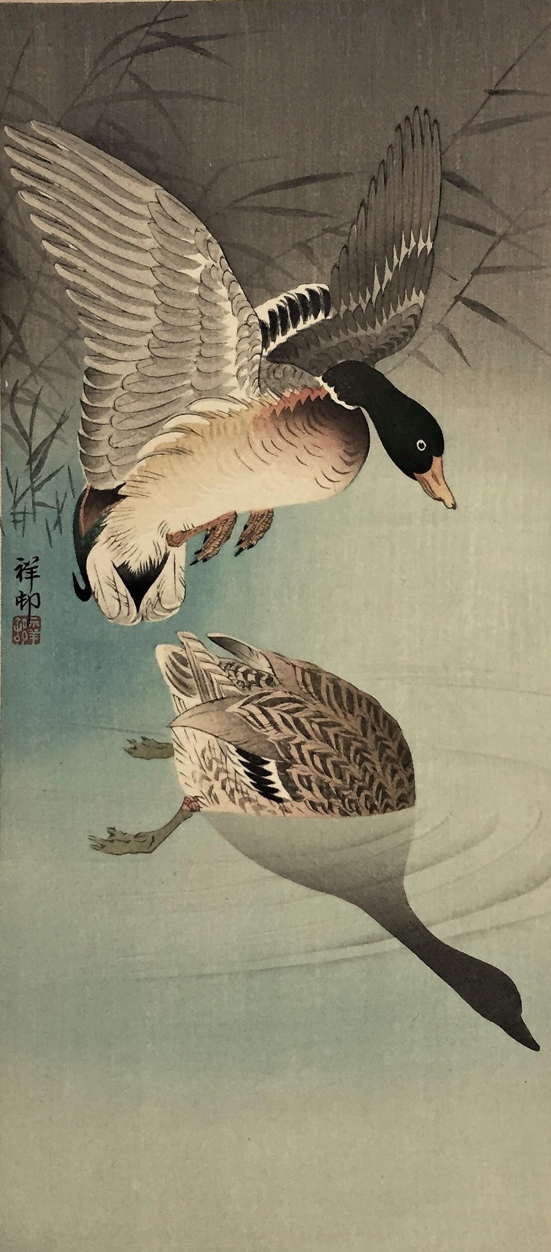 Two Wild Ducks in Flight Above Reeds, a Full Moon Behind. - Showa Print by Ohara Koson