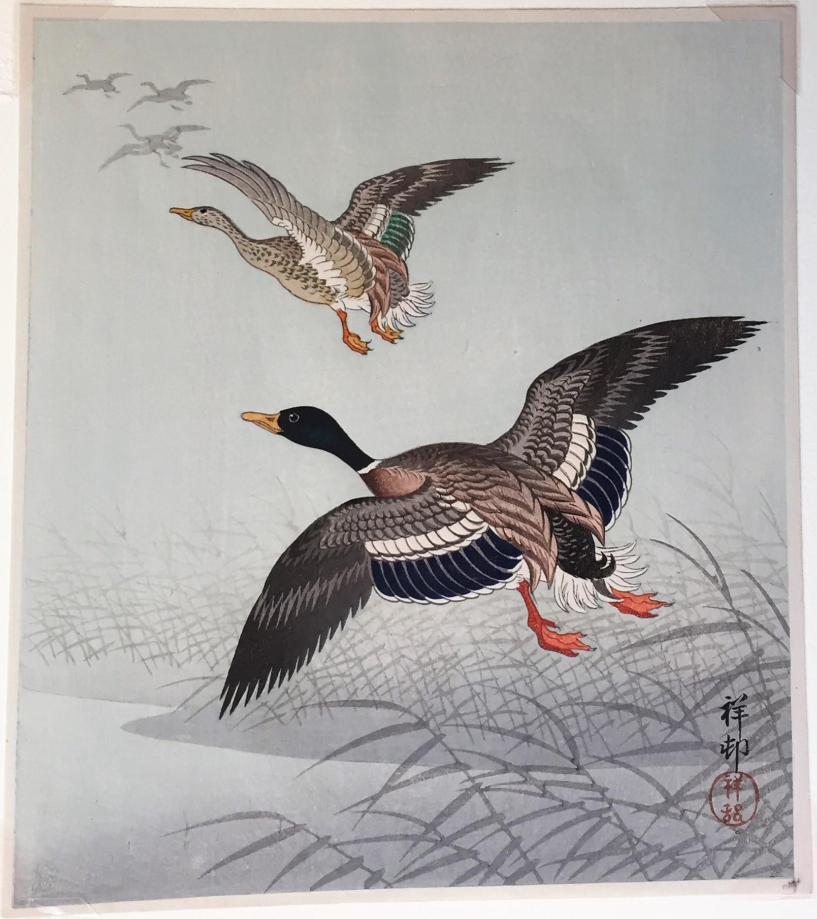 White Fronted Geese Flying above Reeds and Water. - Print by Ohara Koson