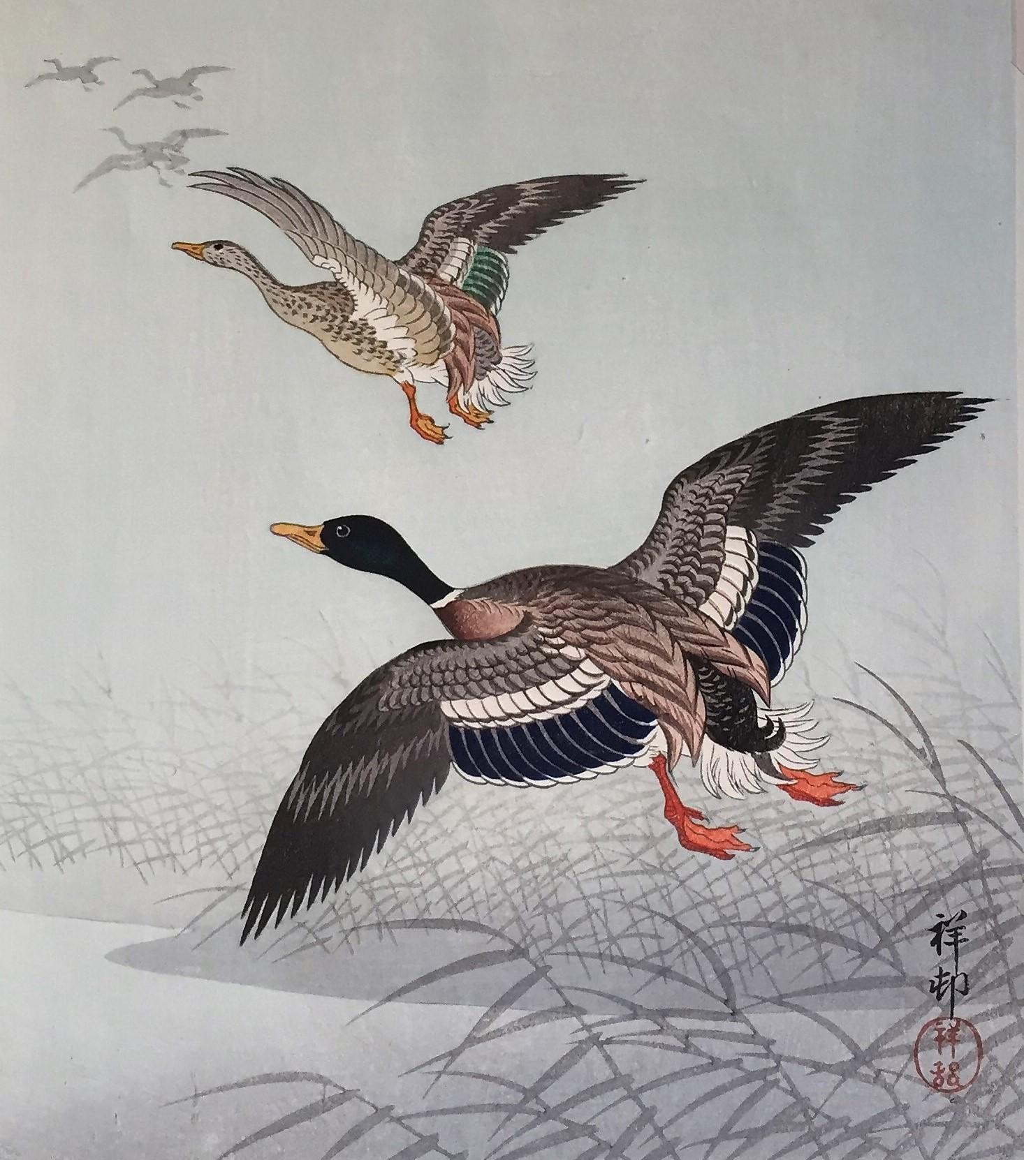 Ohara Koson Animal Print - White Fronted Geese Flying above Reeds and Water.