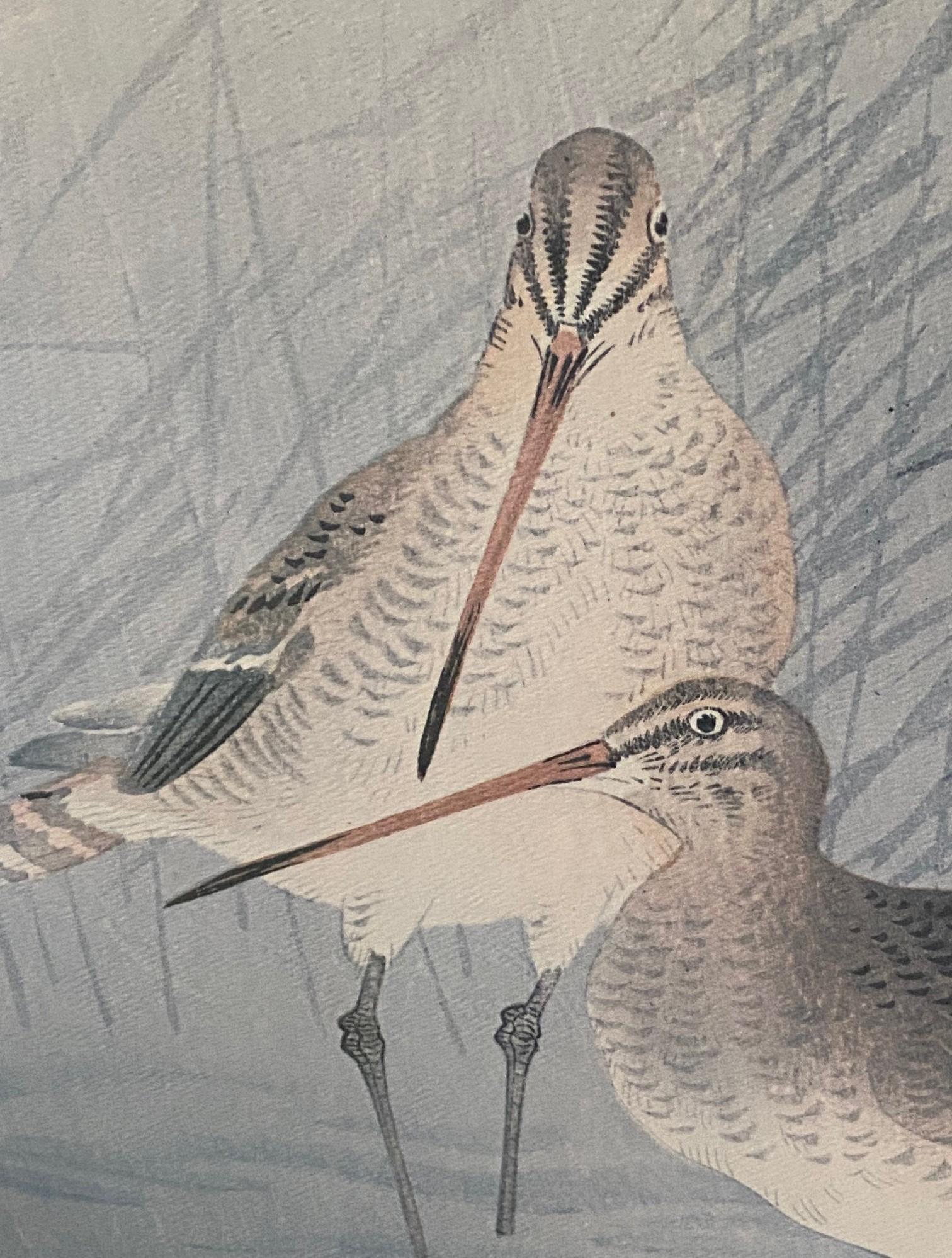 Wood Ohara Koson Signed Framed Japanese Asian Print Snipes and Reeds In a Stream For Sale