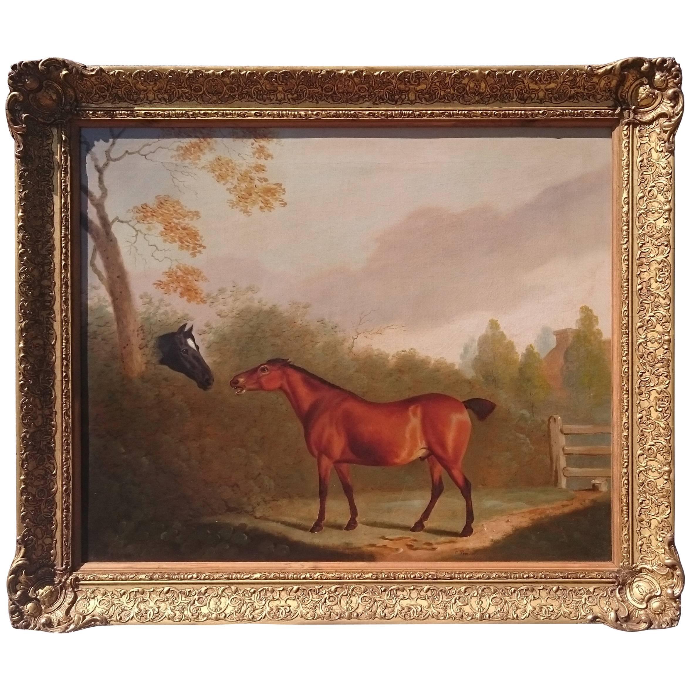 Oil on Board, a Painting of Two Horses in a Landscape Setting by Clifton Thomson For Sale