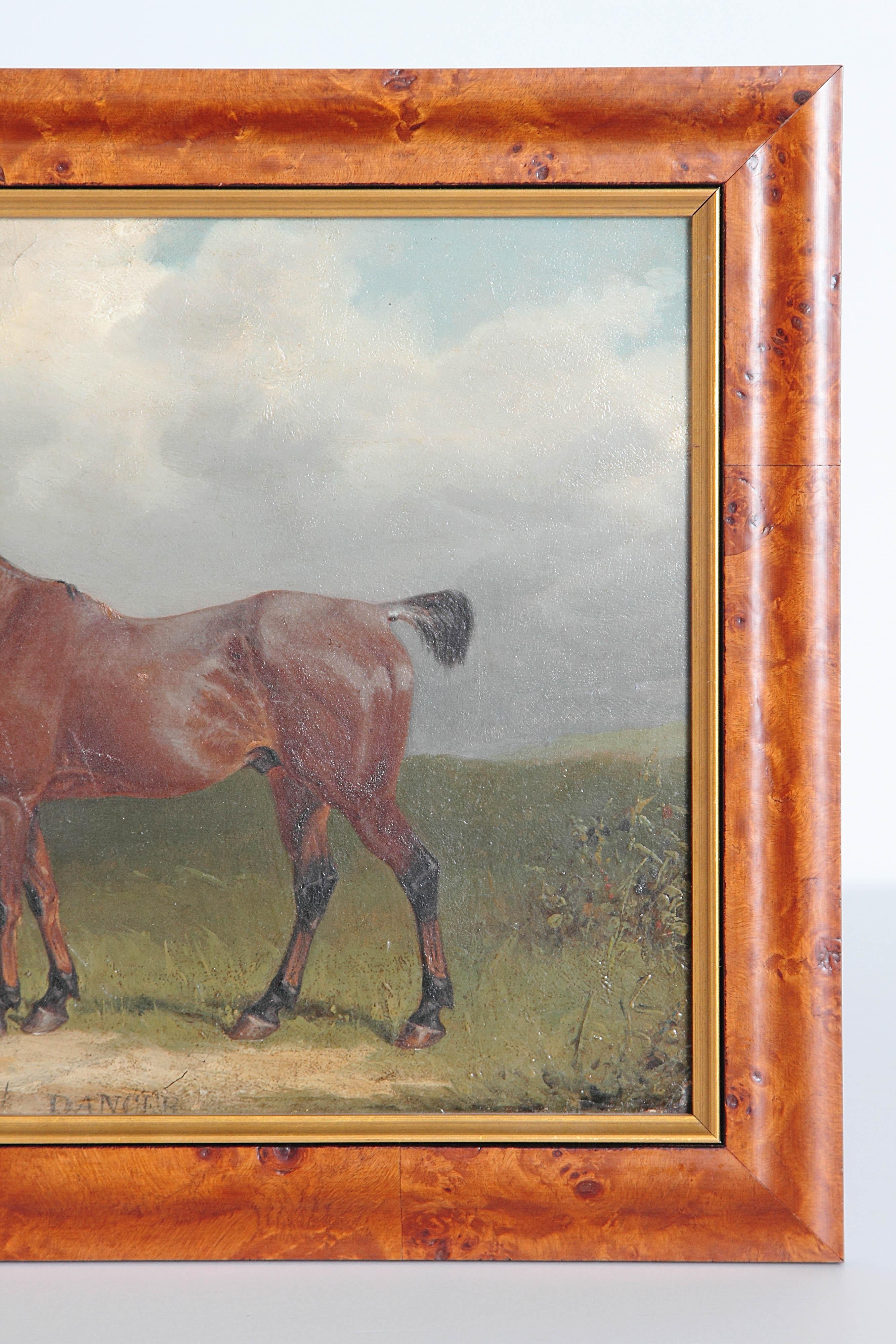 Victorian Oil on Board Horse Portrait