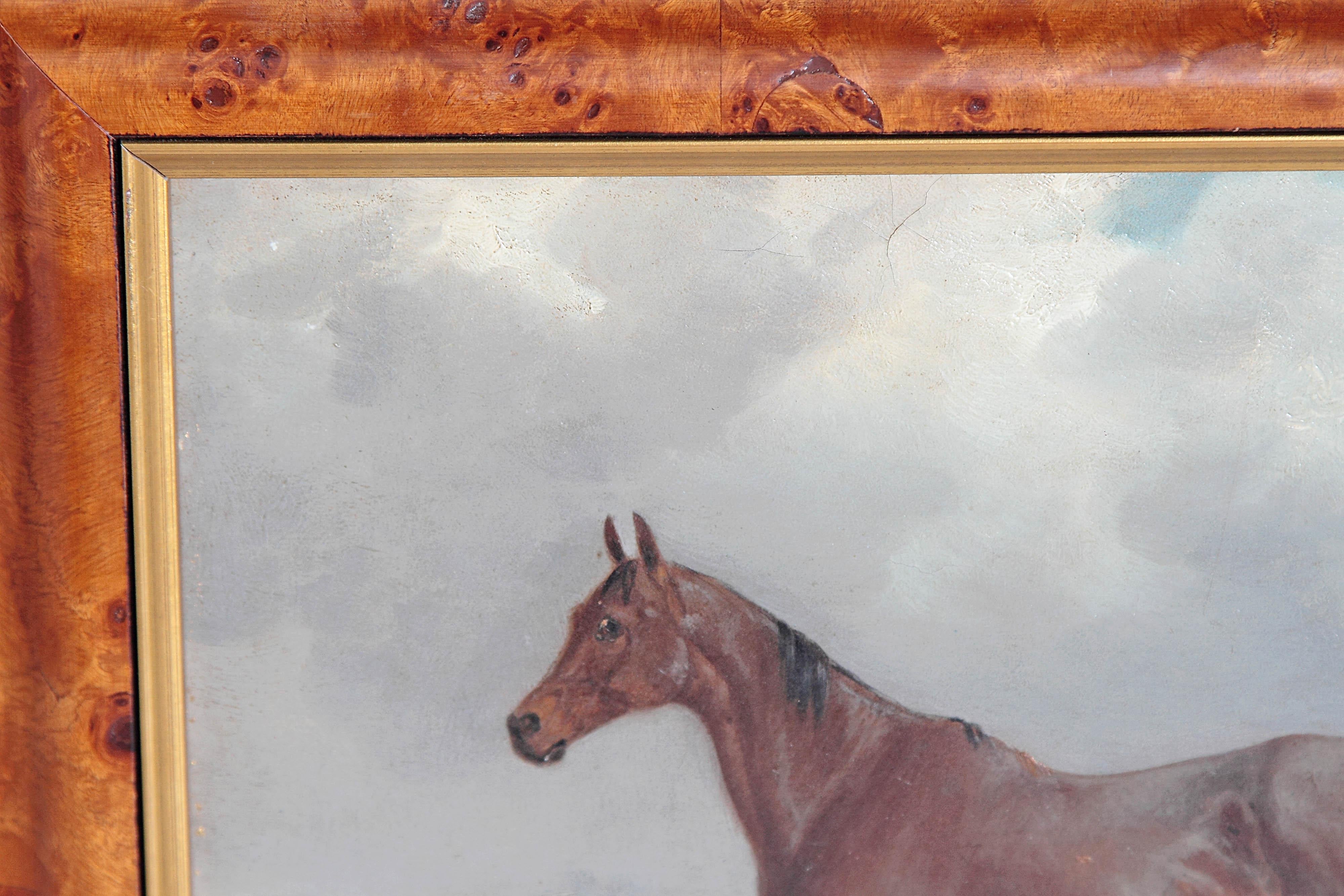 European Oil on Board Horse Portrait
