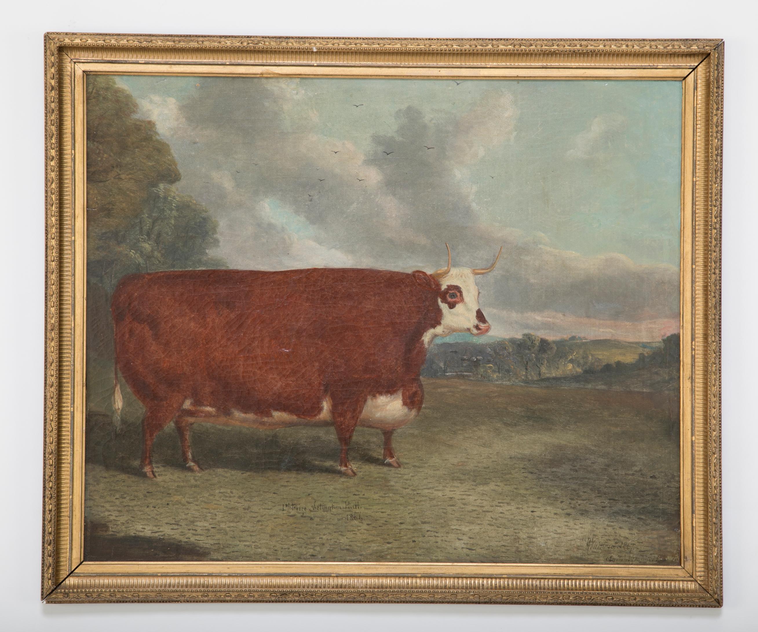 A 19th century oil on board of a prize cow signed lower right 