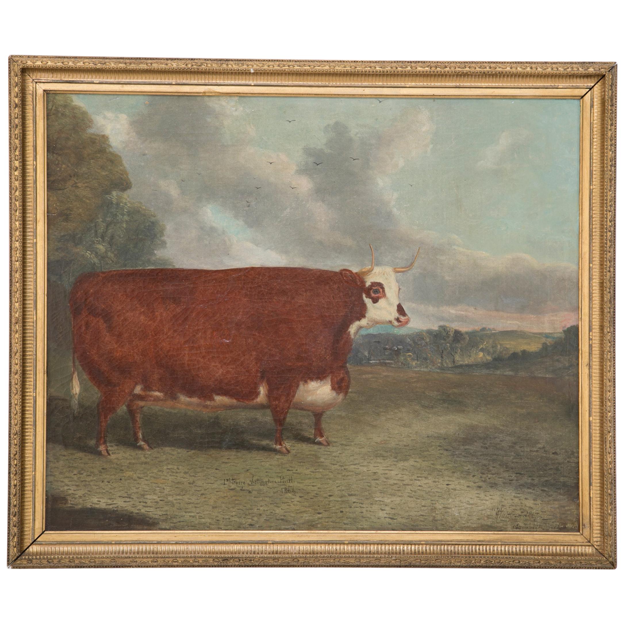 Oil on Board of Prize Cow Signed "Whitford 1867"