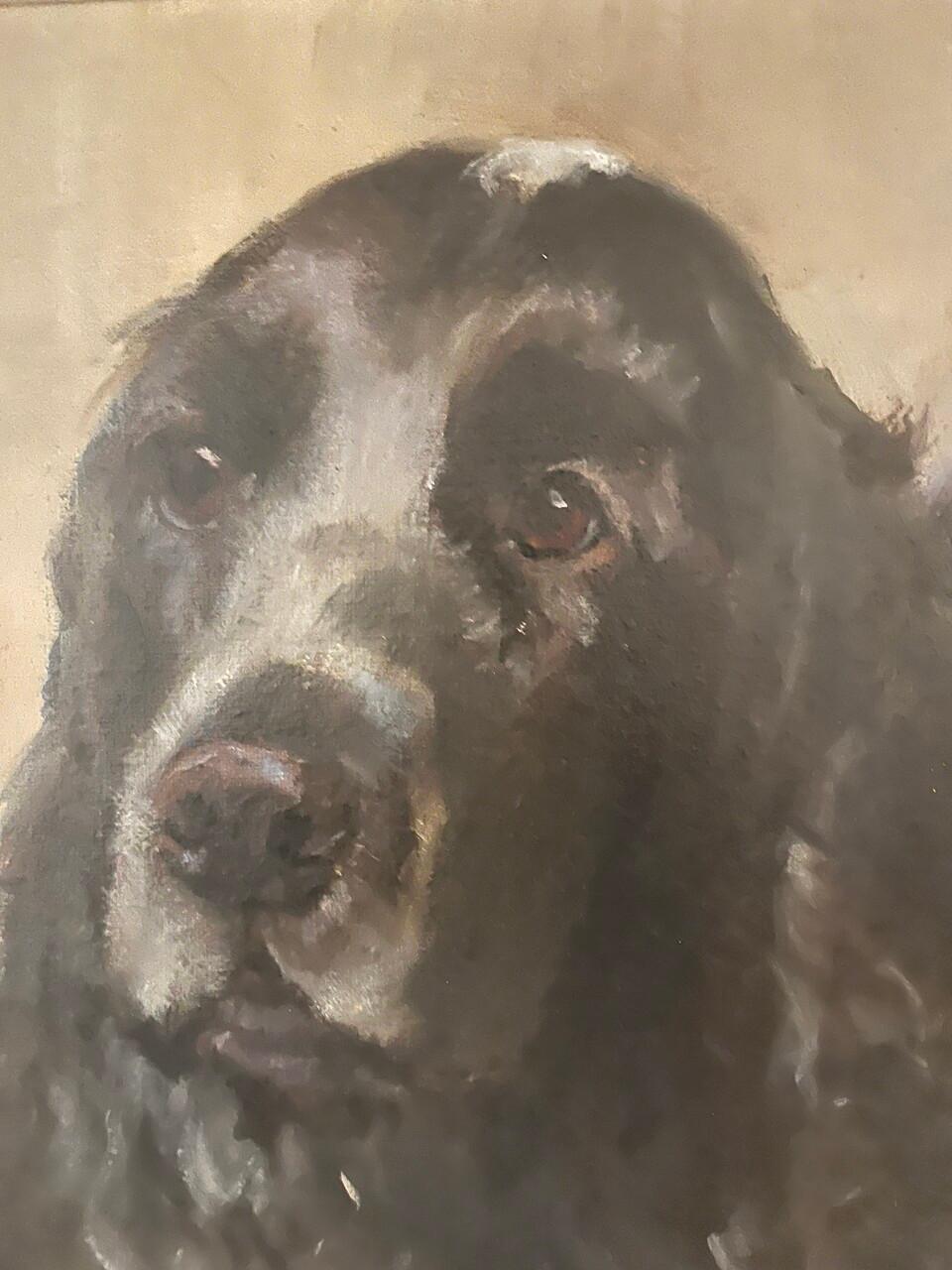 Öl auf Leinwand Cocker Spaniel Porträt von Houston Künstler Martha Goodrum