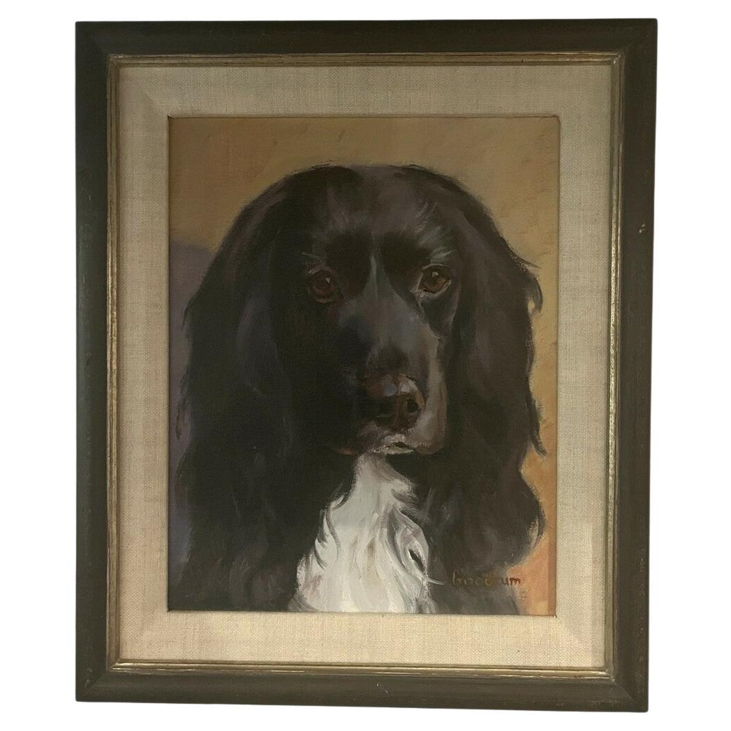 Öl auf Leinwand Cocker Spaniel Portrait