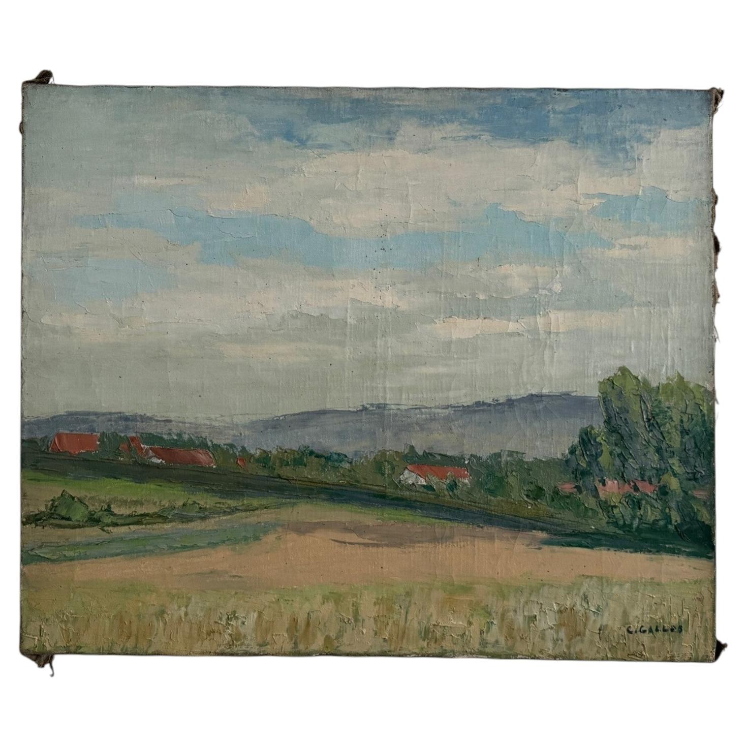 Oil on canvas depicting a landscape, 20th century, by Carlos Gallos