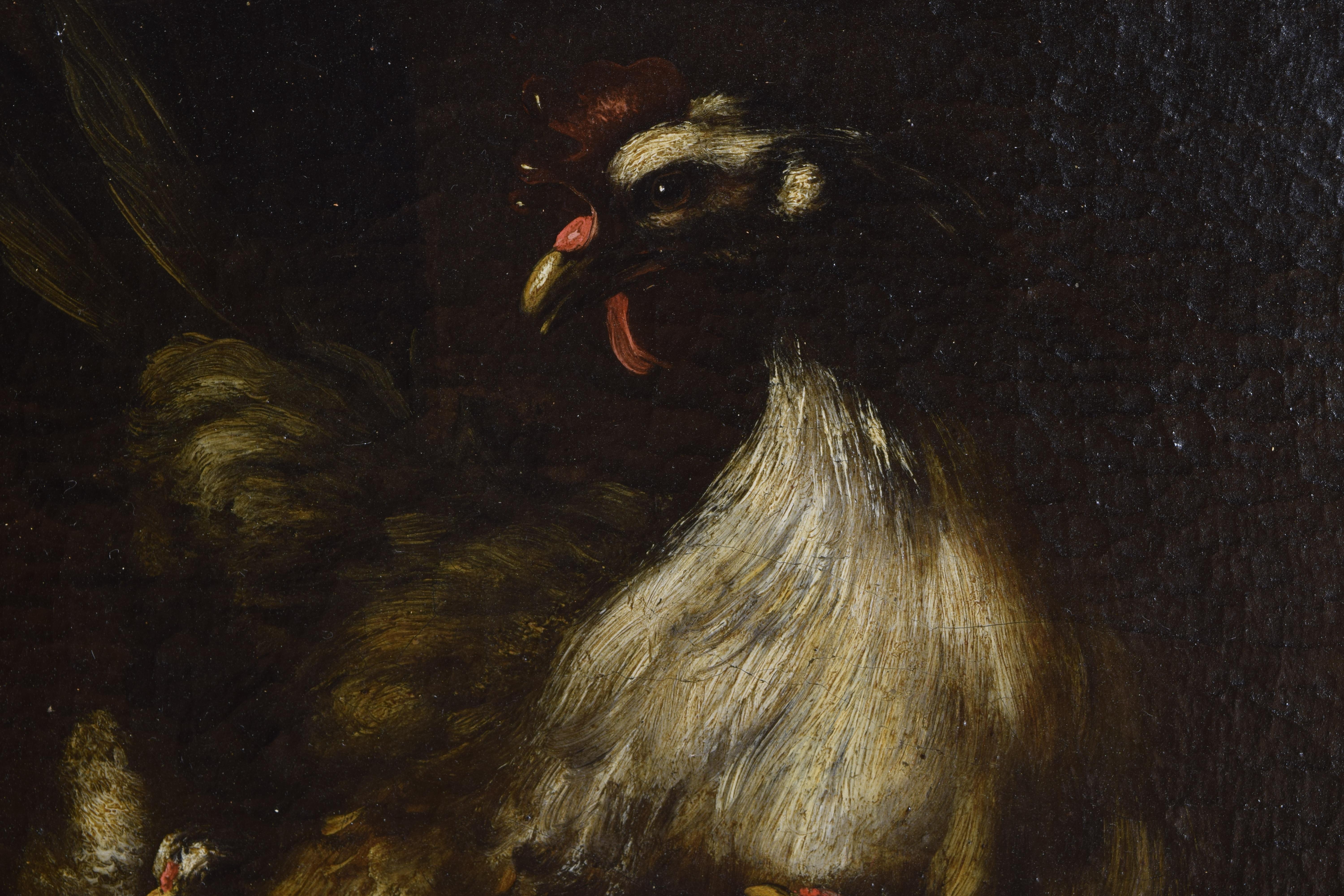 Oil on Canvas, Italy, Emilian School, Mother Hen with Chicks, Early 18th Cen. In Good Condition For Sale In Atlanta, GA