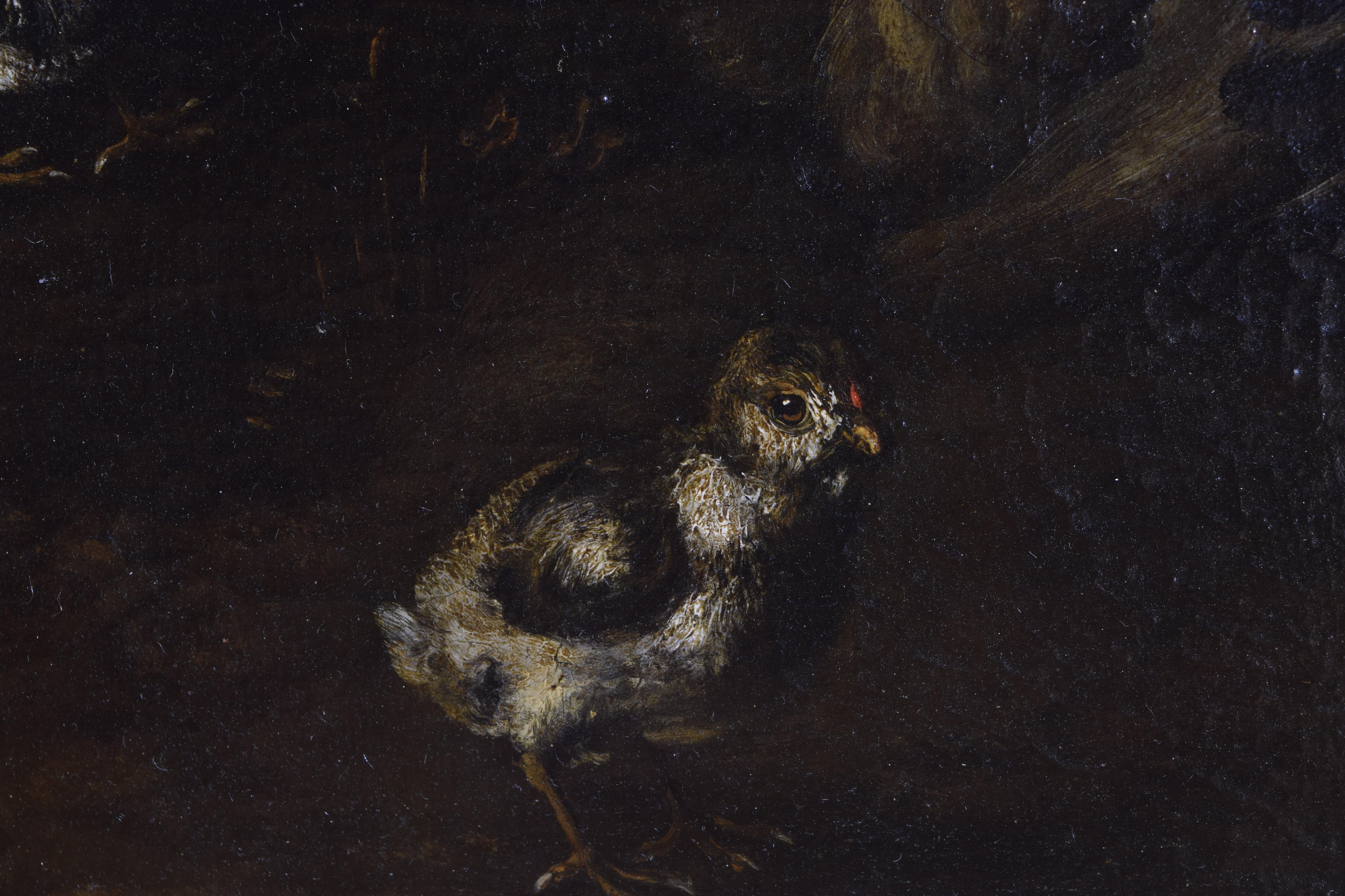 18th Century Oil on Canvas, Italy, Emilian School, Mother Hen with Chicks, Early 18th Cen. For Sale