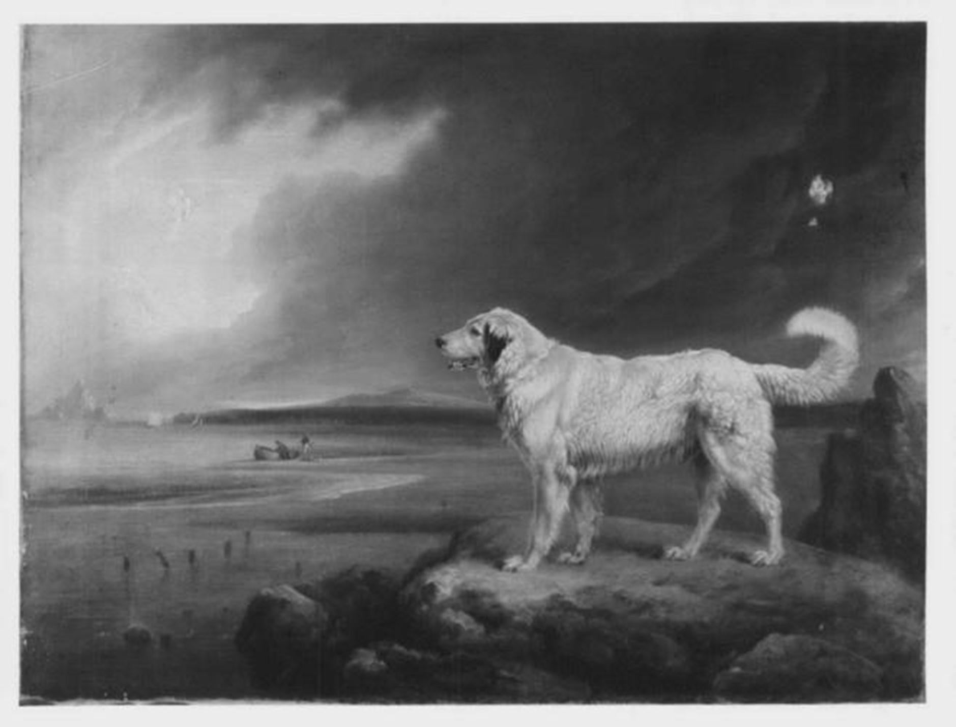 Óleo sobre lienzo; Terranova frente a la costa inglesa, por Edmund Bristow (1787-1876) Pintado en venta