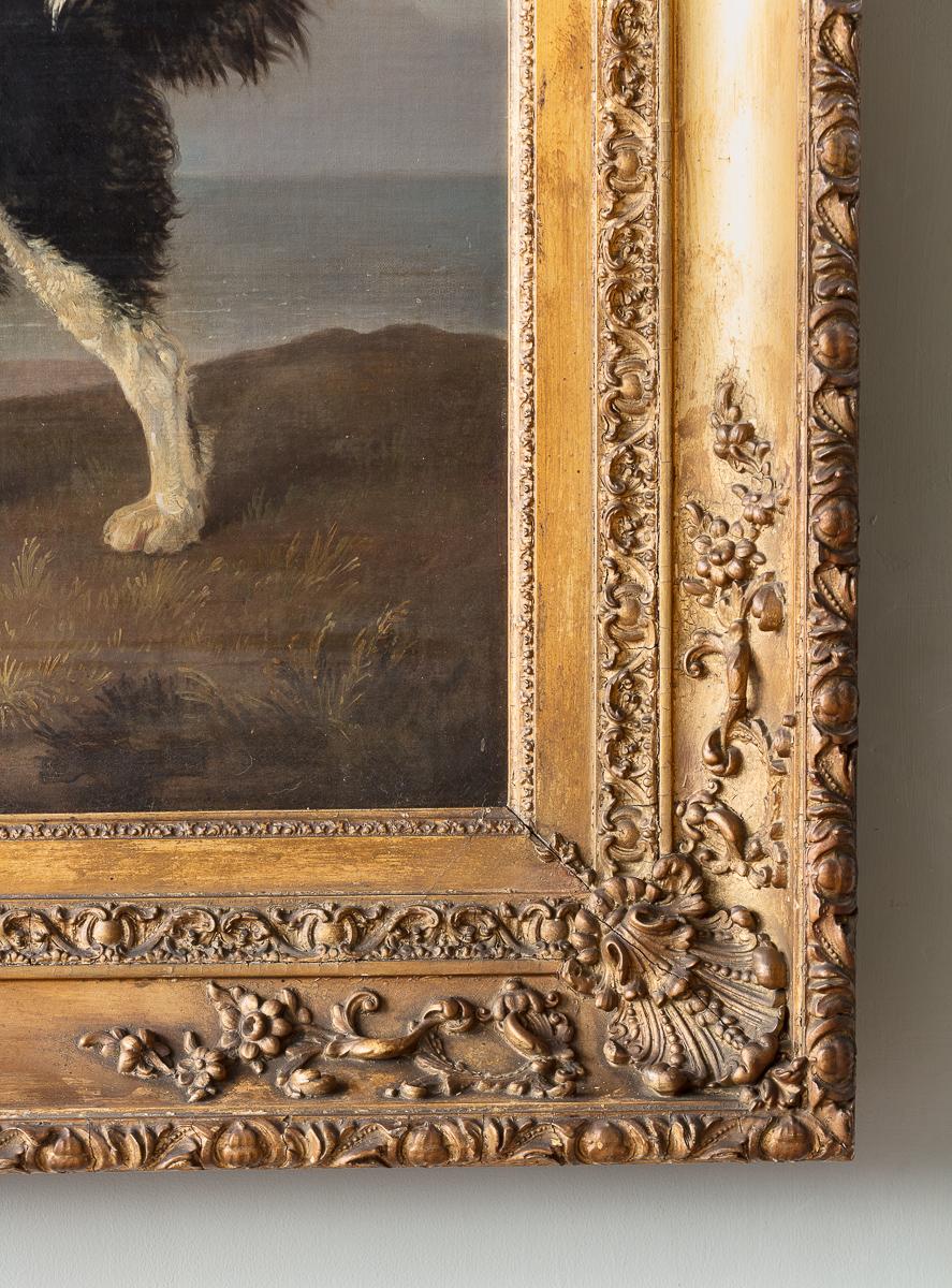 Óleo sobre lienzo; Terranova frente a la costa inglesa, por Edmund Bristow (1787-1876) en Bueno estado para la venta en London, GB