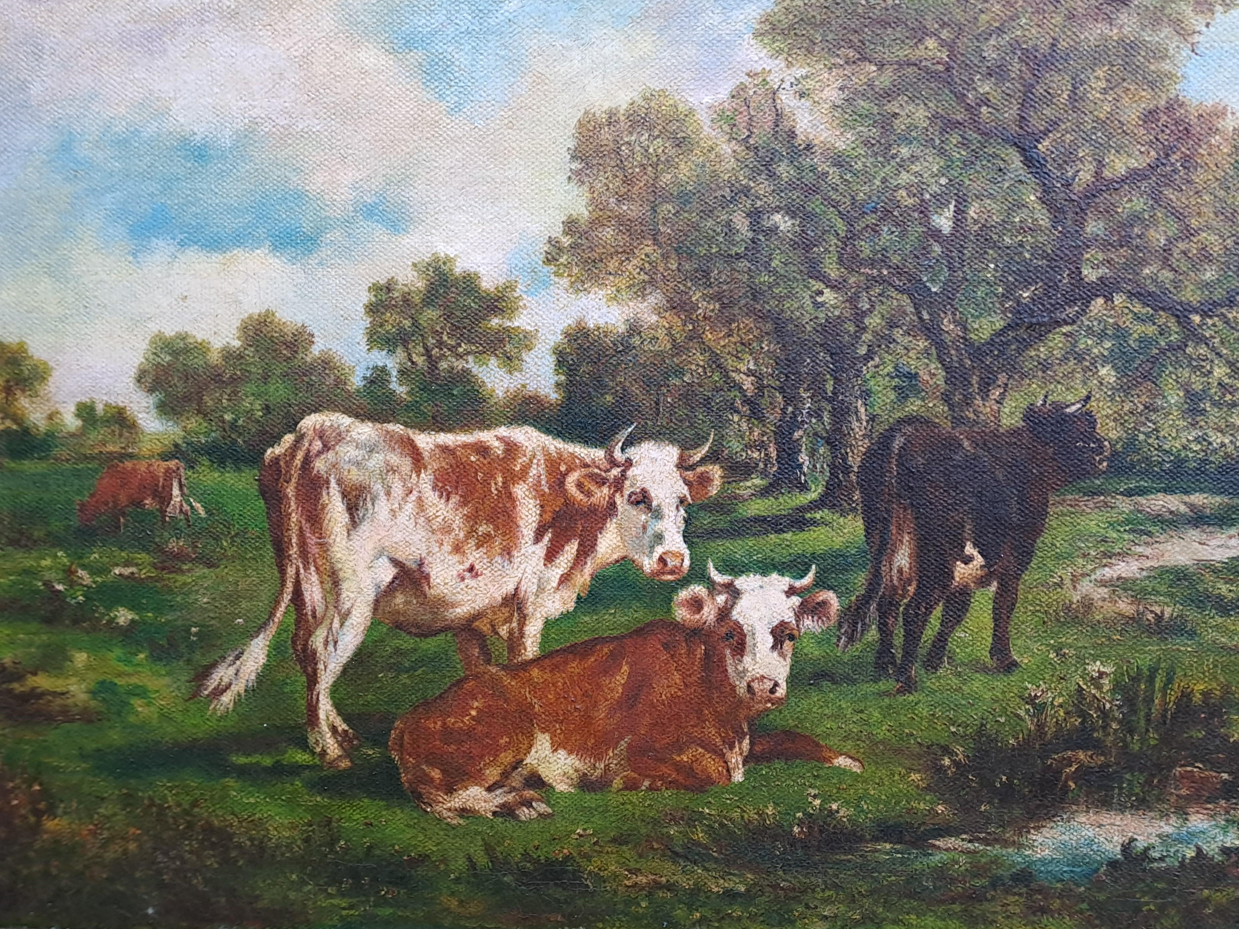 Francese Olio su tela - Vacche della Normandia firmato Collignon in vendita