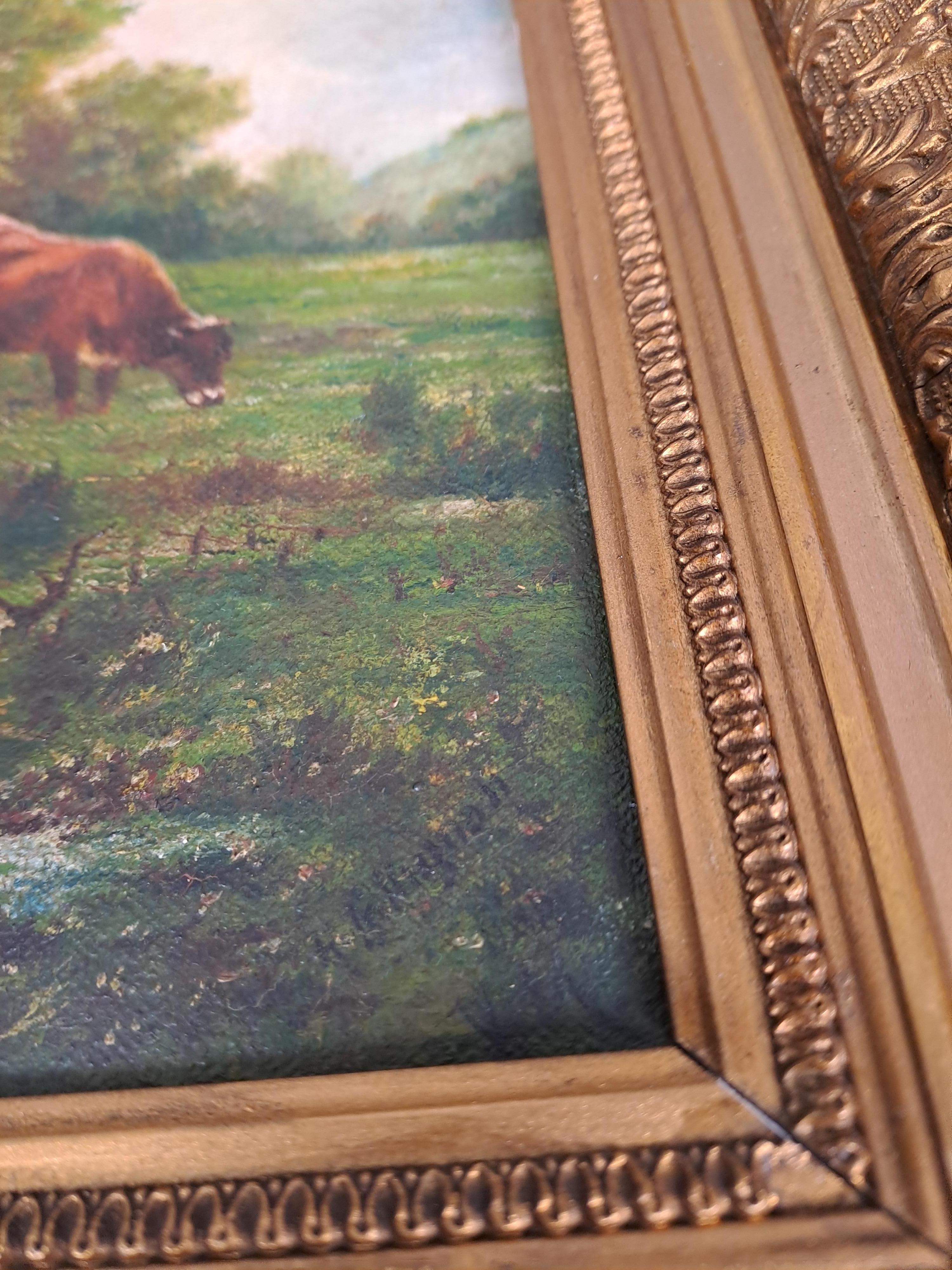 Olio su tela - Vacche della Normandia firmato Collignon in vendita 2