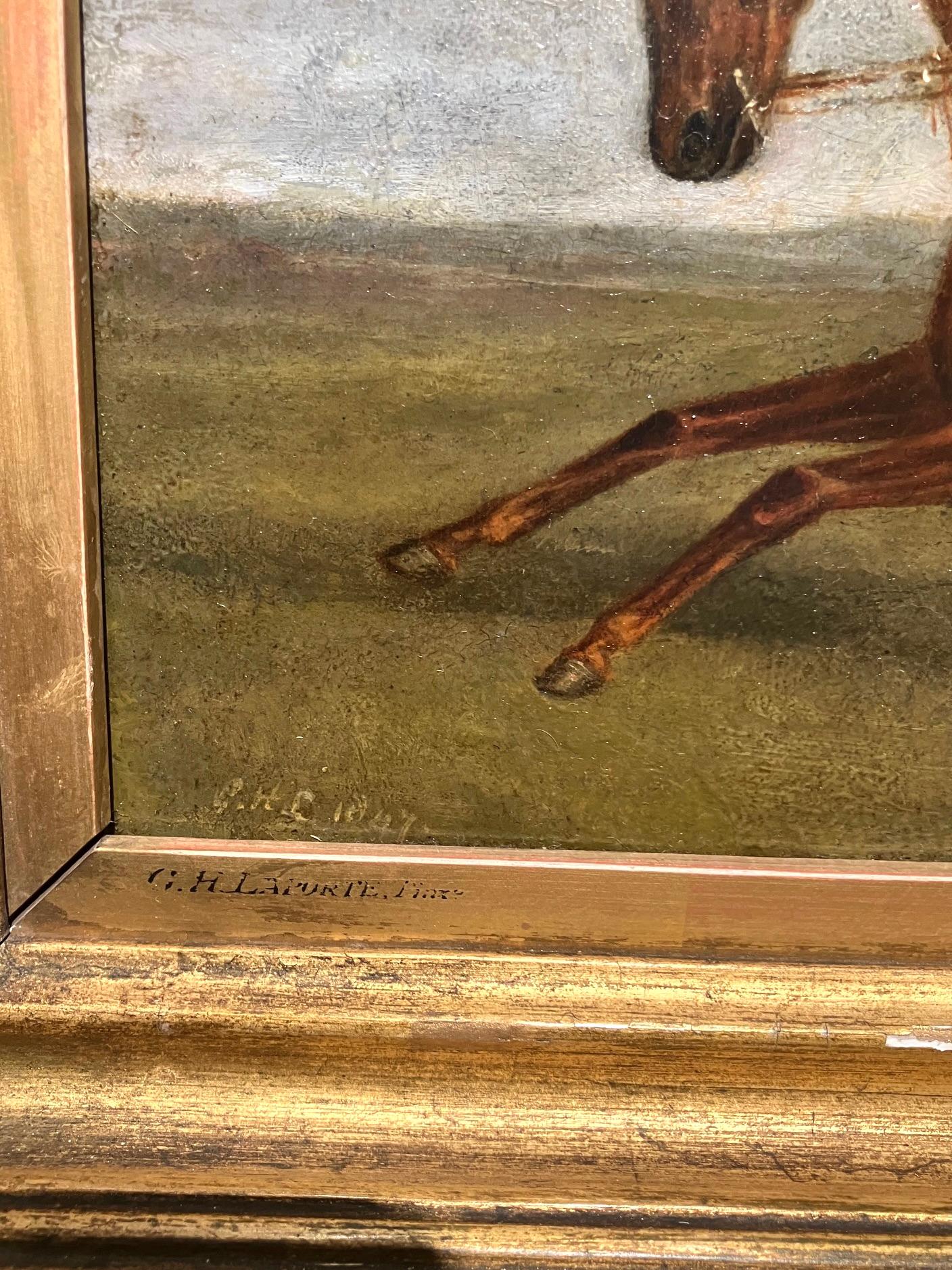 Oil on Canvas of Racehorse 