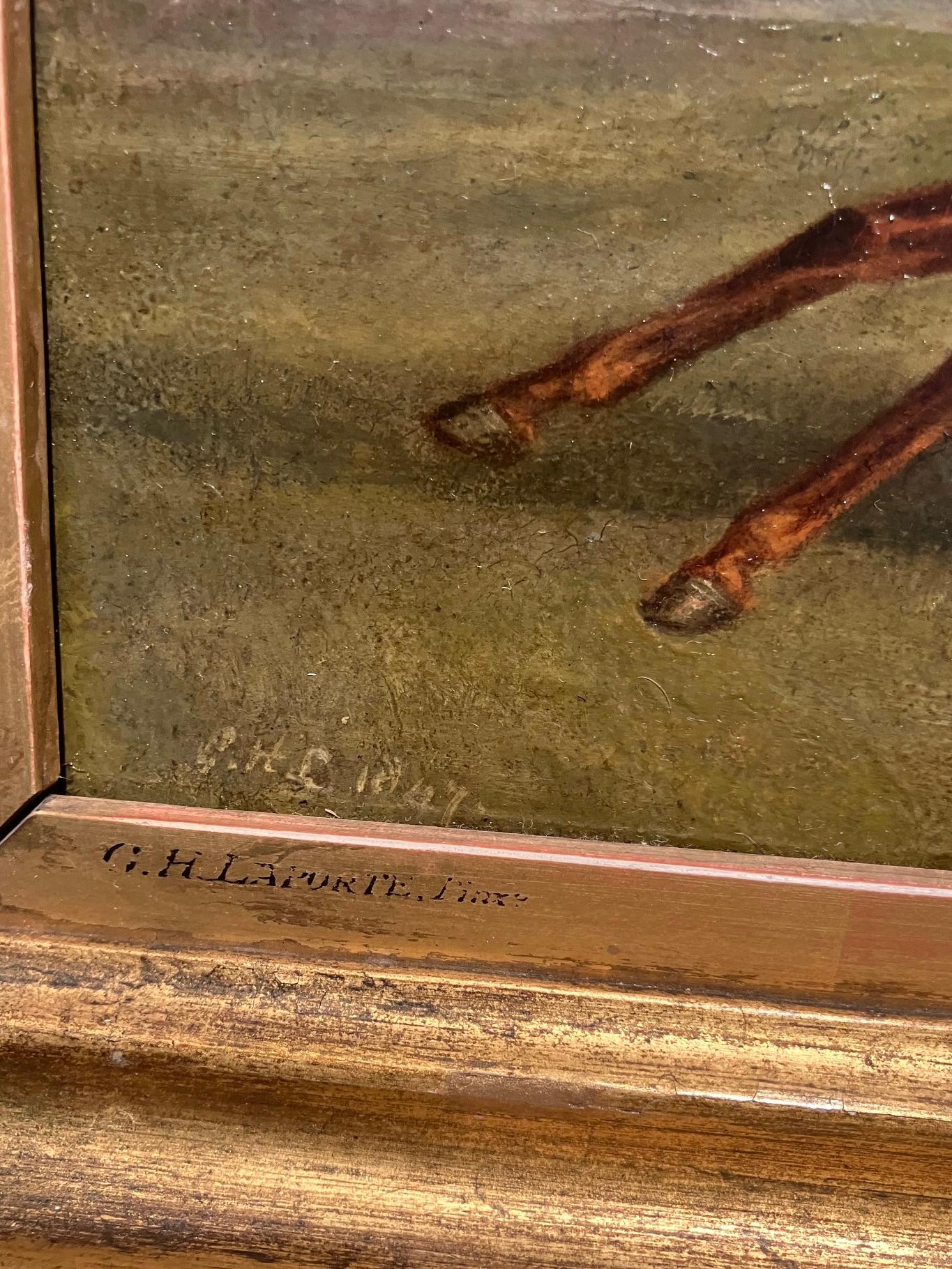 Oil on Canvas of Racehorse 