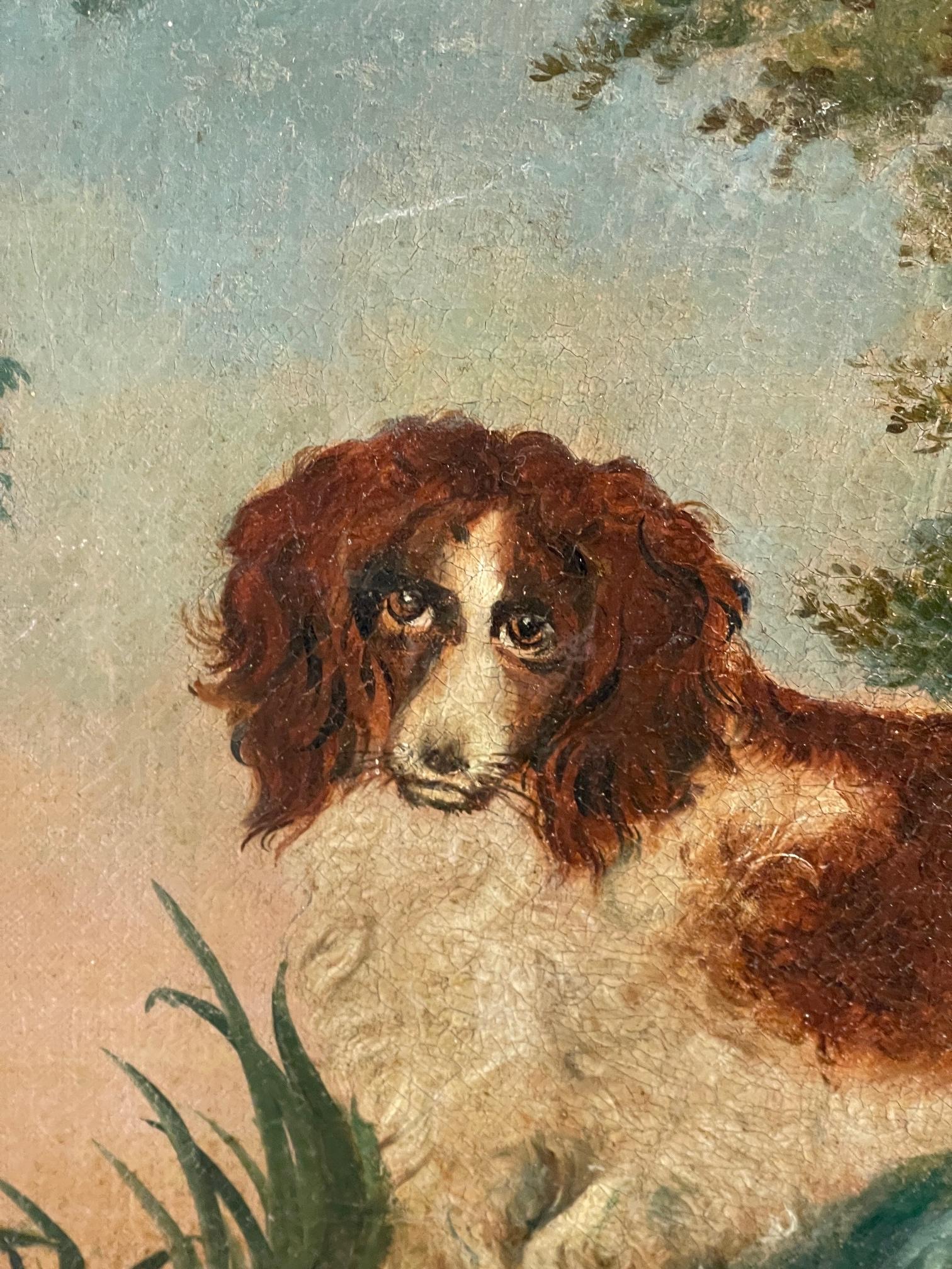 Oil on canvas of a spaniel unframed C1790
 size 44cms x 36cms

c1790 in good condition