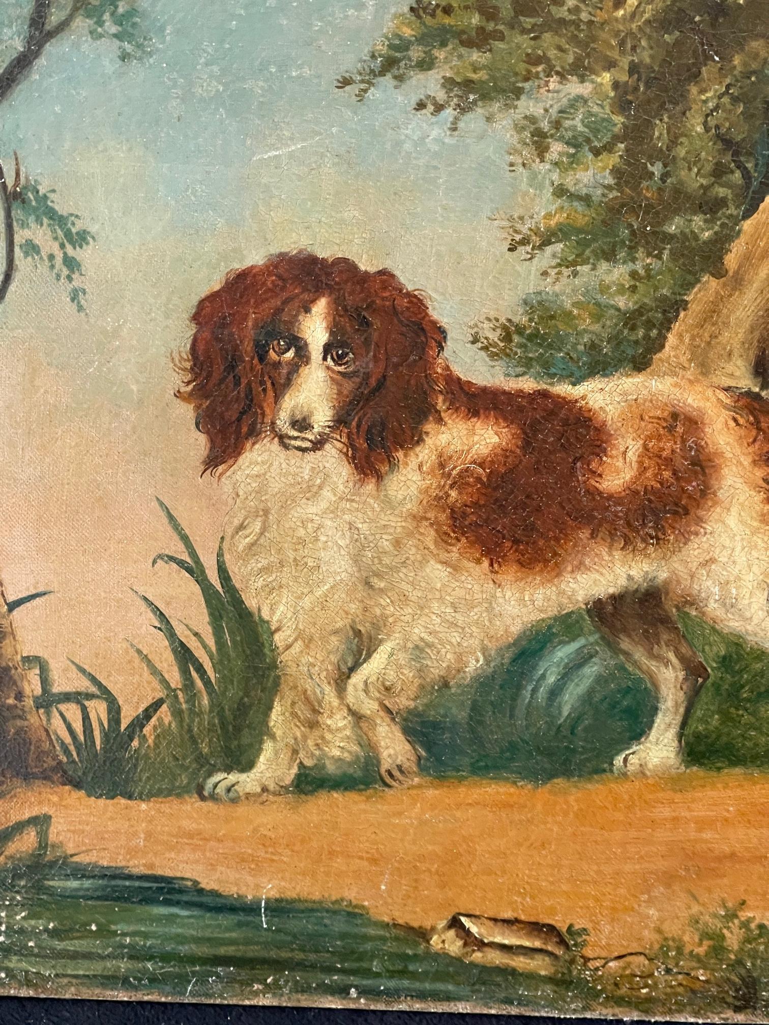 Late 18th Century Oil on canvas of a spaniel unframed c1790 For Sale