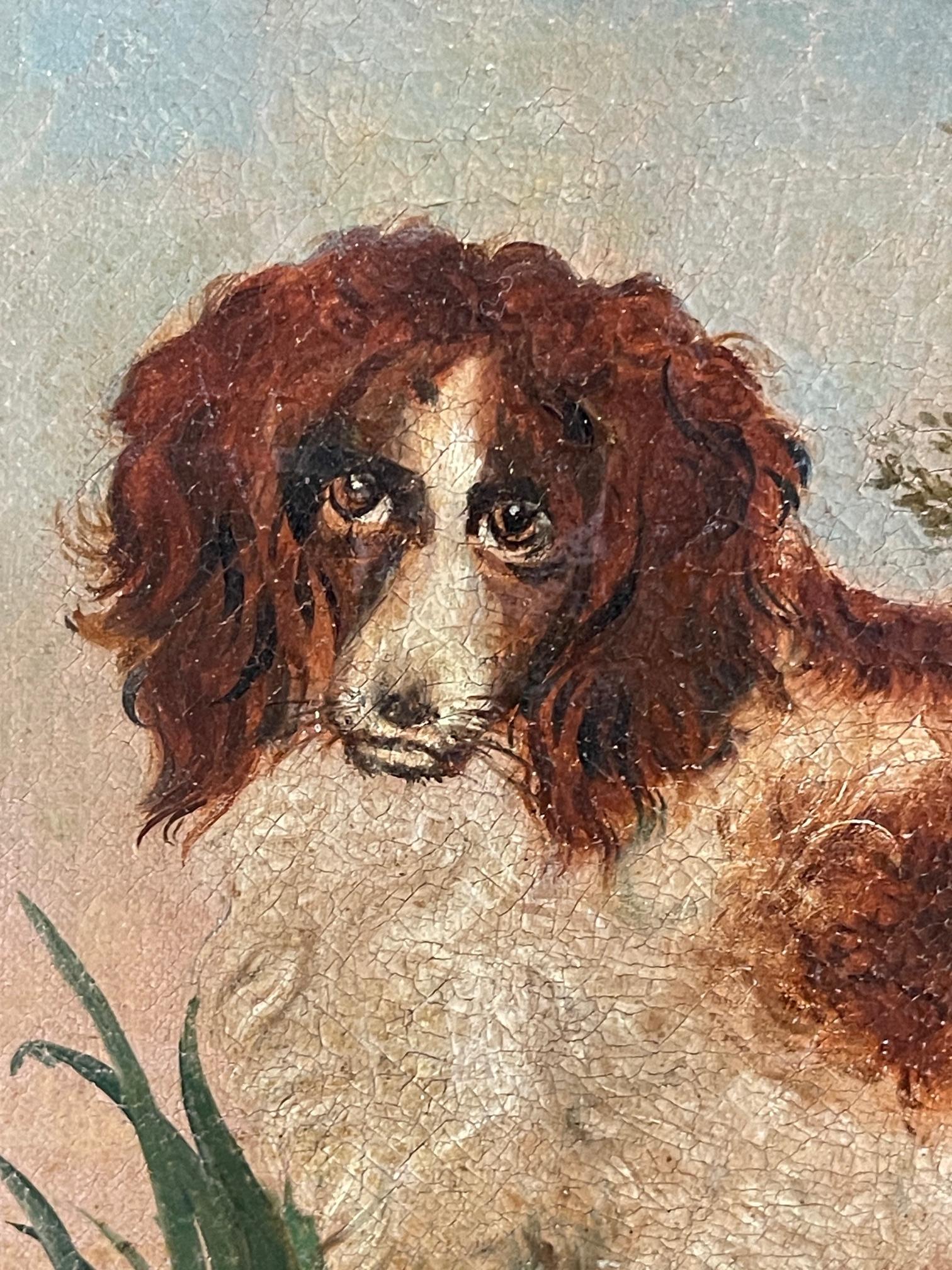 Paint Oil on canvas of a spaniel unframed c1790 For Sale